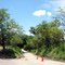 Campo Palagua Puerto Boyaca Boyaca