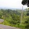 Camino negro San Pedro de Uraba Antioquia