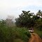 San Pedro de Urabá Antioquia