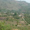 VEREDA, SAN PEDRO DE URABA