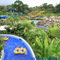Parque Los Tamarindos