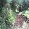 Sendero camino a MonteFrío. CSF.