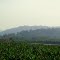 Plátano y Cerros vía Currulao Nueva Antioquia Antioquia