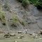Geología Tío López Turbo Antioquia