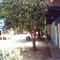 CENTRO PUERTO RONDON