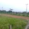 MANGA DE COLEO