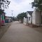 calles de Palmar