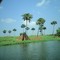 Caño La Ceiba
