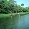 Caño Carretal, Plato, Magdalena, Colombia