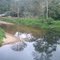 rio suan, puerto berrio, antioquia HG