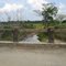 caño en la vía que va para estación malena, puerto berrio, antioquia HG