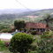 finca santa elena palestina caldas