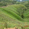 finca SONGO SORONGO