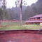 El Bosque