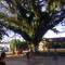 parque los caucheros