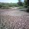Estero en verano