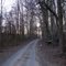 Lost Trail Road