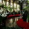 Longwood Gardens6