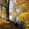 Few steps from Ostrava-Vyskovice