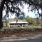 old grove house, rural Lake County Fla (3-1-2013)