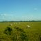 vía a Pore - Casanare