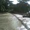 Rio Pauto por el Caño Limeta