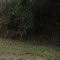 Playa Finca 3