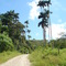 Caminito de Aguazul
