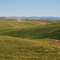 Walla Walla County