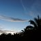 Amanecer en el tropico...     -      Dawn in the tropical...