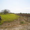 Finca San Juan Trinidad Casanare