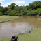 Caño Las Guamas Casanare