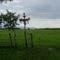 VEREDA SANTA MARIA
