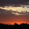 Amanece en los llanos de Colombia .       -             Dawns in the plains of Colombia