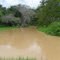 CAÑO EL OSO