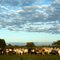 Vacas.  -  Cows for the group of my friend JC EBY