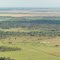 vista de los cedritos