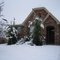 Snow, Feb. 12, 2010