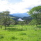 Finca La Bendicion. Rio Tocaria