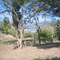 Finca La Bendicion