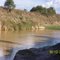 CAÑO TROMPILLOS