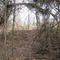 Dump Encroaches on Trail