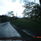 marginal de la selva