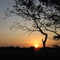 AMANECER LLANERO MALAVER