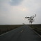 Recta Sector Pirichigua a Orocue Casanare