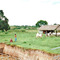 A farmhouse by Rio Meta,Colombia