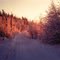 Alaska. Rime Frost. -48 F, off Badger Rd, North Pole, Alaska, jan 1972