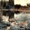Badger Slough, North Pole, Alaska, march 1971