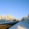 Road in winter