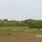 ESTERO EN TAURAMENA
